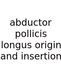 Abductor Pollicis Longus Origin And Insertion