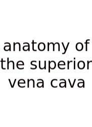 Anatomy Of The Superior Vena Cava