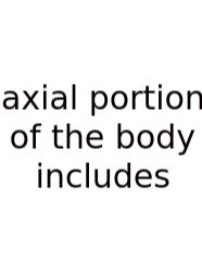 Axial Portion Of The Body Includes