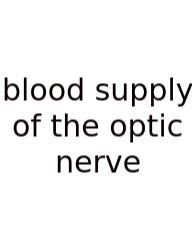 Blood Supply Of The Optic Nerve