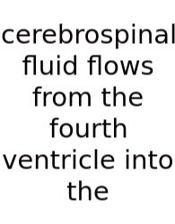 Cerebrospinal Fluid Flows From The Fourth Ventricle Into The