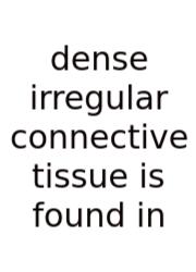 Dense Irregular Connective Tissue Is Found In