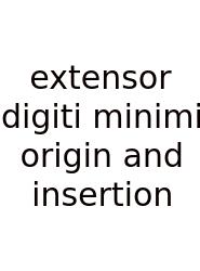 Extensor Digiti Minimi Origin And Insertion