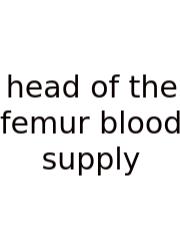 Head Of The Femur Blood Supply