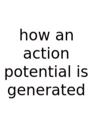 How An Action Potential Is Generated