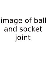 Image Of Ball And Socket Joint