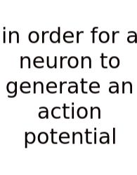 In Order For A Neuron To Generate An Action Potential