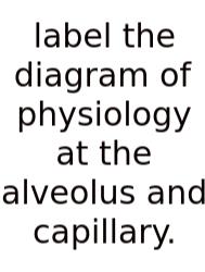 Label The Diagram Of Physiology At The Alveolus And Capillary.