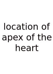 Location Of Apex Of The Heart