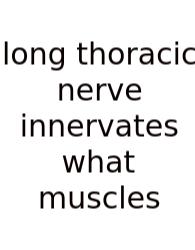 Long Thoracic Nerve Innervates What Muscles