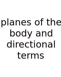 Planes Of The Body And Directional Terms