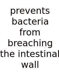 Prevents Bacteria From Breaching The Intestinal Wall