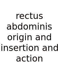 Rectus Abdominis Origin And Insertion And Action