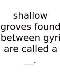 Shallow Groves Found Between Gyri Are Called A __.