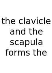 The Clavicle And The Scapula Forms The