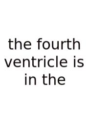 The Fourth Ventricle Is In The