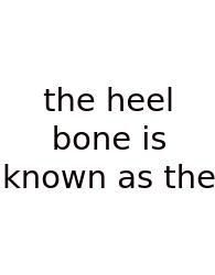 The Heel Bone Is Known As The