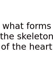 What Forms The Skeleton Of The Heart