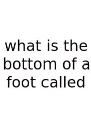 What Is The Bottom Of A Foot Called