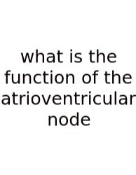 What Is The Function Of The Atrioventricular Node