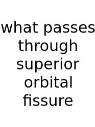 What Passes Through Superior Orbital Fissure