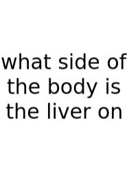 What Side Of The Body Is The Liver On