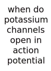 When Do Potassium Channels Open In Action Potential