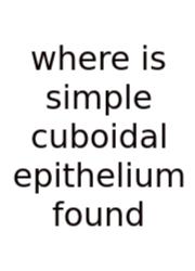 Where Is Simple Cuboidal Epithelium Found