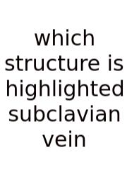 Which Structure Is Highlighted Subclavian Vein